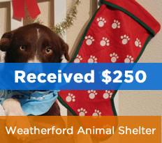 Guide Our Charitable Giving to the Cause that Matters Most to You